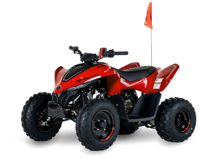 CFMOTO CFORCE 110