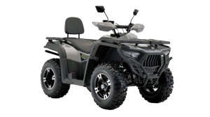 BASHAN EXPLORER 300 EFI 2х4