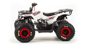 Motoland 125 WILD